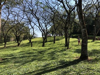 Parque em São Paulo