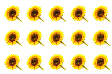 Pattern from bright Sunflower on white background. Creative Summer Composition.