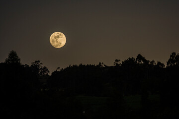panoramic view of the full moon with the silhouette of a forest in the mountain