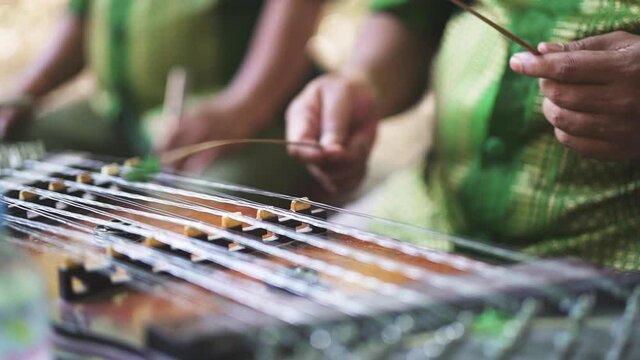 Men in Green Shirt Playing The Musical Instrument Khim