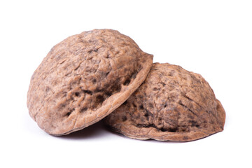 Empty shell of walnut