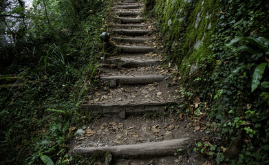 Staircase with autumnal leaves