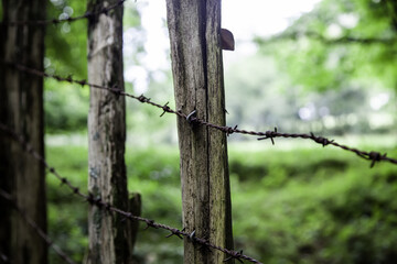 Barbed wire fence