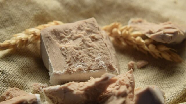 Hefen Yeast Levure Kvasovka  ft020 _0212 Silvana Comugnero Lievito di birra 