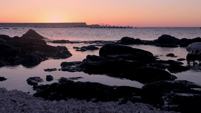 Sunrise with a Cat at Spiaggia Cala Gonone, Sardinia, Italy (4K)