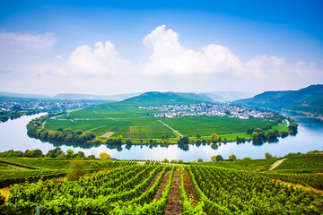 famous Moselle loop with vineyards