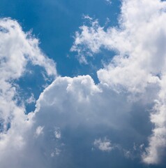 The fluffy white clouds in the blue sky.