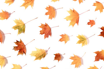 Fototapeta premium Autumn creative composition. Dried leaves on white background. Fall concept. Autumn background. Flat lay, top view, copy space