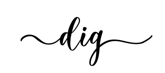 Dig - vector calligraphic inscription with smooth lines.
