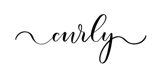 Curly - vector calligraphic inscription with smooth lines.