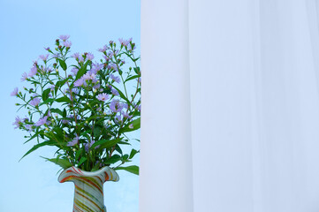 Field purple flowers in a white vase in the interior of the room against the background of window and curtains. - Powered by Adobe