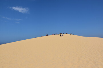 Grande Dune du PIlat in der Bucht von Arcachon