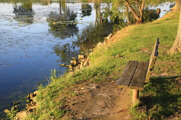 Scenic park bench with a peaceful view