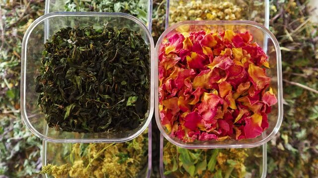 healthy healing herbs and wild flowers for tea, herbal medicine, phytotherapy medicinal herbs, good for preparation of tea, infusions, decoctions, powders, ointments and tinctures