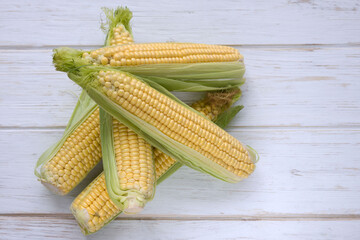 Ripe sweet corn on the cob on a white background. A popular cereal grain close-up.