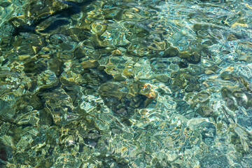 Fototapeta na wymiar Abstract texture of clear turquoise sea water with a rocky bottom