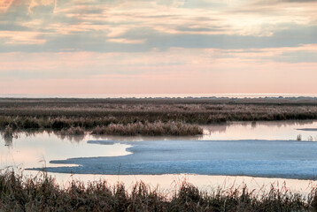 Spring tundra in Barents Sea coastal area, Russia