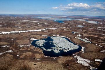 Aerial view of Timan tundra in Barents Sea coastal area, Russia