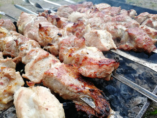 pork shish kebab on skewers is fried on coals in the grill. Picnic, unhealthy food