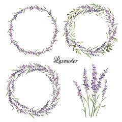 Set of lavender elements. Vector colorful illustration © VETOCHKA