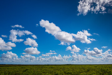 Green grass landscape and blue sky in Florida United States