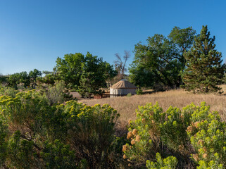 Yurt Tucked in Among Big Green Trees