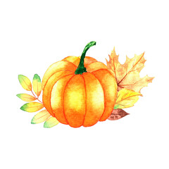 Watercolor autumn illustration of leaves and pumpkins isolated on white background. Hand watercolor painted