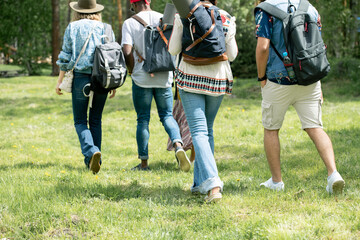 Rear view of young tourists walking on grass and carrying satchels while hiking together