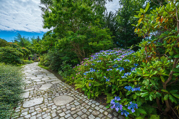 Wroclaw Poland 05 August 2020; Japanese Garden in the city of Wroclaw, the historic capital of Lower Silesia.