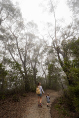 Fototapeta premium Mother and child walking through the misty blue gum forest