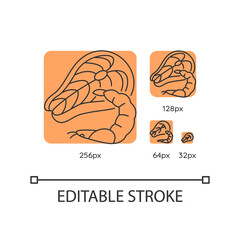 Seafood orange linear icons set. Tuna raw steak. Fresh shrimp. Mediterranean cuisine. Thin line customizable 256, 128, 64 and 32 px vector illustrations. Contour symbols. Editable stroke
