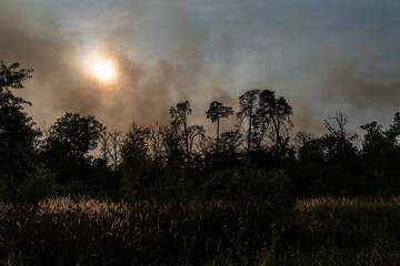 Sonne wird durch Rauch bei einem Waldbrand verdunkelt