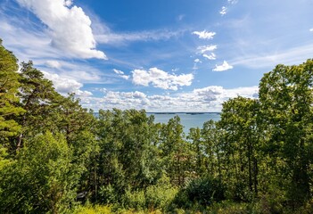 Fototapeta na wymiar Beautiful nature landscape view with view Baltic sea. Tops of green forest trees on blue sky and white clouds background on sunny summer day.