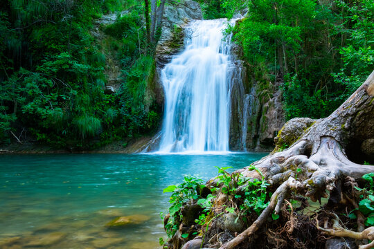 A large beautiful waterfall in a forest with blue water and a tree.