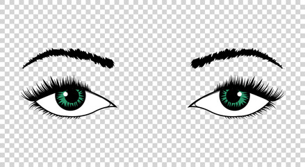 Vector eyes. Hand drawn female luxury eye with perfectly shaped eyebrows and full eyelashes. The perfect look. Health glamour design