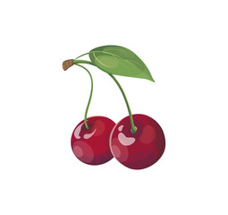 Vector icon of realistic cherry berry. 