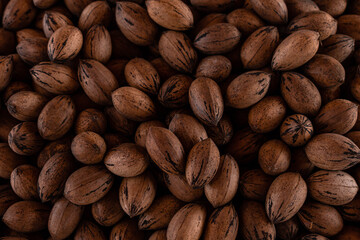 primer plano de nueces de pecan con cascara marrones cosechadas