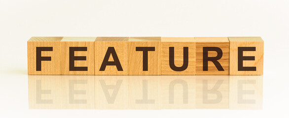 Feature word written on wood block on white background.