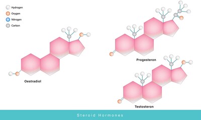 Steroid hormones progesterone, estrogen and testosterones - obrazy, fototapety, plakaty