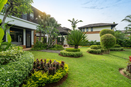 Exterior design of house, home and pool villa feature swimming pool, terrace, landscape garden and sun bed