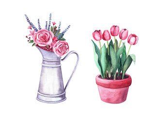 Watercolor red tulips in a pot, flower arrangement in a vintage metal pitcher. Isolated illustration on white background