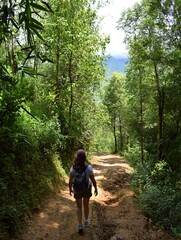 Chica caminando por el bosque, haciendo ejercicio y vida sana