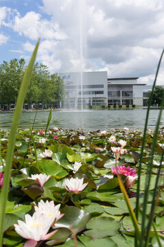 Munich, Bavaria / Germany - July 12, 2020: buildings with logos of the "ICM - International Congress Center Munich" nearby the trade fair, in the fore a park with a pond with waterlily