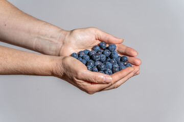 hands with ecological sloes on a sloes background. © JuanFrancisco
