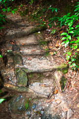 Old wooden steps on a mountain hiking trail near Cashiers, North Carolina, USA.