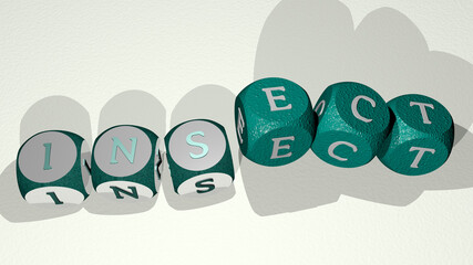 INSECT text by dancing dice letters. 3D illustration. background and animal