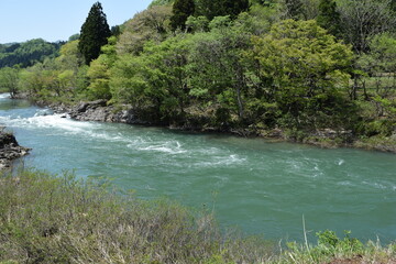 Obraz premium 雪解け水 早春の渓流