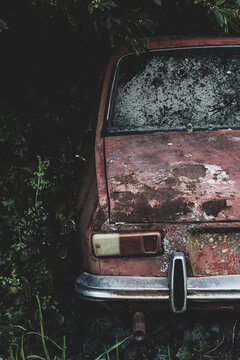 Old car from the 90s abandoned among plants. Abandoned Argentine R12 car full of mold.