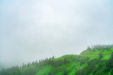 【志賀草津高原道路】霧中の山岳風景