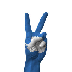 Hand making victory sign, antarctica painted with flag as symbol of victory, win, success - isolated on white background © prehistorik